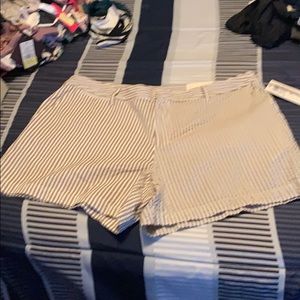 Chino shorts universal thread brand